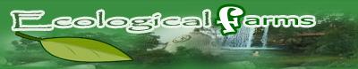 inbound tours spiritual espiritual eco truly park perú peru yoga monasterios monasteries vrinda temple ashram asram