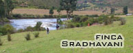 sradhavani cuzco perú peru inbound tour spiritual espiritual yoga monasterios monasteries vrinda temple ashram asram ecología turismo spiritual espiritual